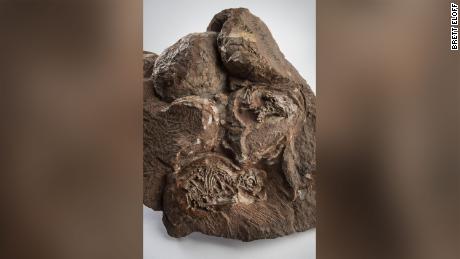 Scientists reconstruct skulls of 200 million-year-old dinosaur embryos in &#39;unprecedented&#39; 3D detail