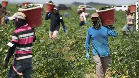 The farmworkers putting food on America&#39;s tables are facing their own coronavirus crisis