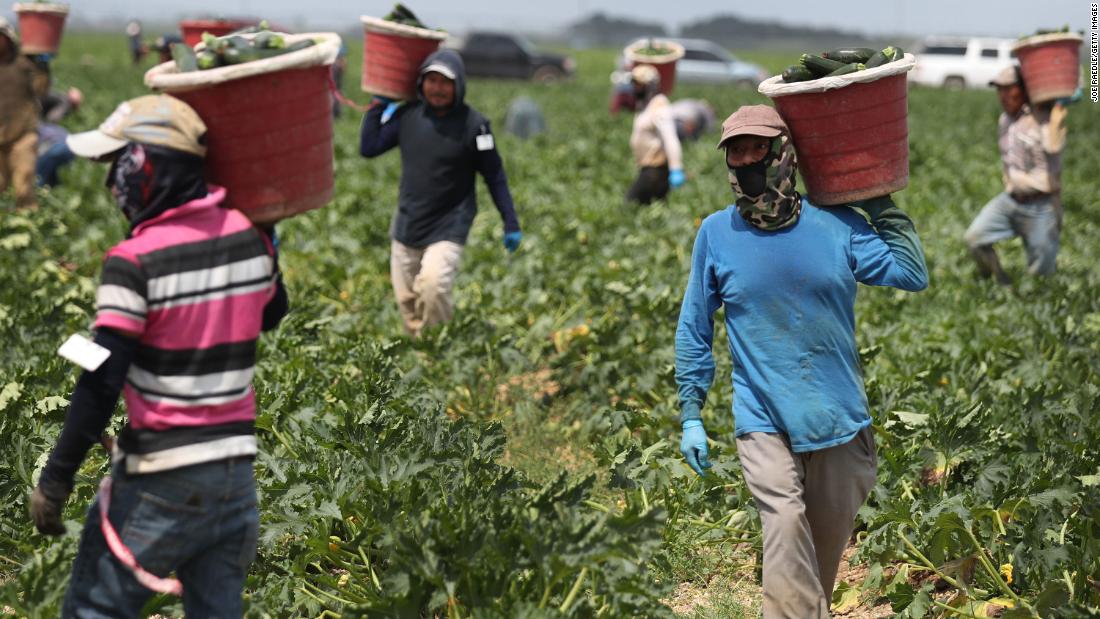 Farmworkers are facing their own coronavirus crisis - CNN