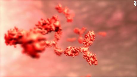 What are antibody tests and what do they mean for the coronavirus pandemic?
