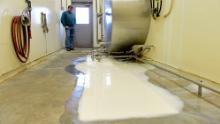 A dairy farmer in Pennsylvania watches 5,500 gallons of milk swirl down the drain.