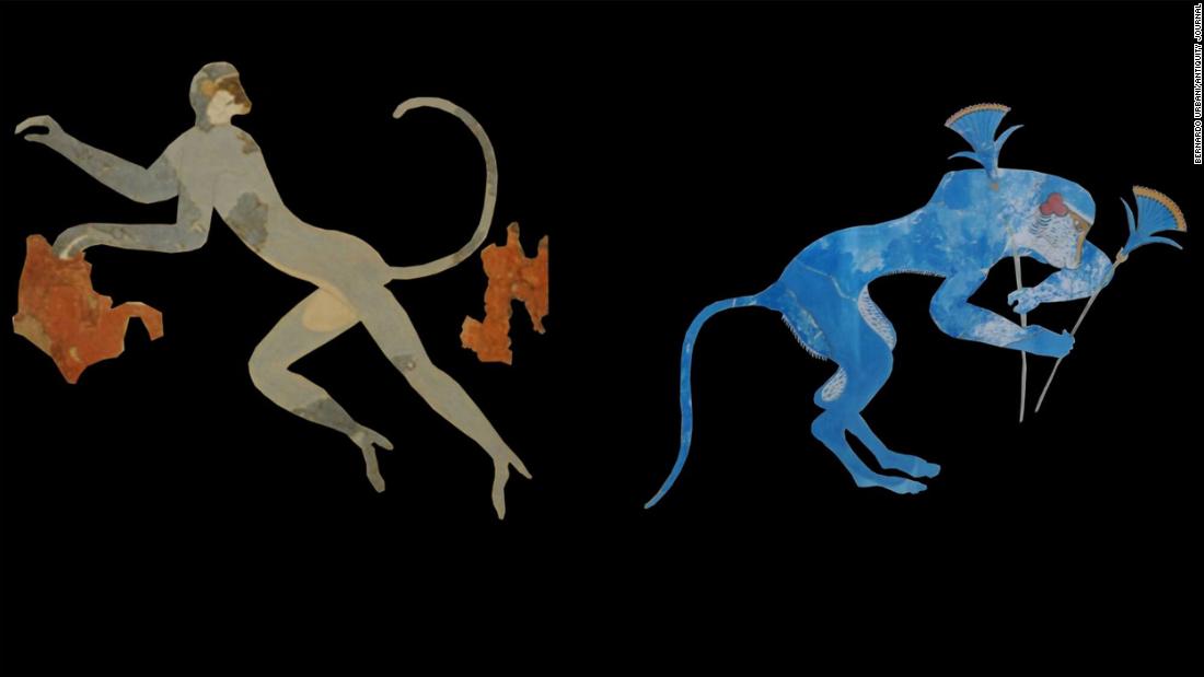 These monkeys can be found in ancient Grecian frescoes. And the details are so accurate that researchers were able to identify them as vervet monkeys and baboons. 