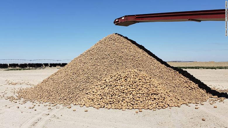 Cranney Farms in Idaho is giving about about 2 million potatoes so they don&#39;t go to waste.