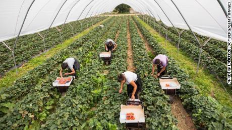 Coronavirus may force the UK to rethink its relationship with migrant workers