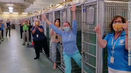 Florida animal shelter celebrates emptying a kennel for the first time ever
