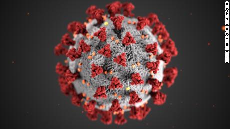 Pfizer and BioNTech begin large-scale trial of coronavirus vaccine in the United States