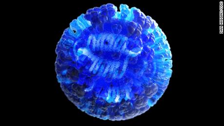 Dan Higgins created this CDC illustration that depicts a 3D computer-generated rendering of a whole influenza virus.