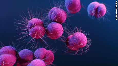 Coronavirus spread by people with no symptoms &#39;appears to be rare,&#39; WHO official says
