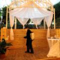 30 weddings coronavirus UNF