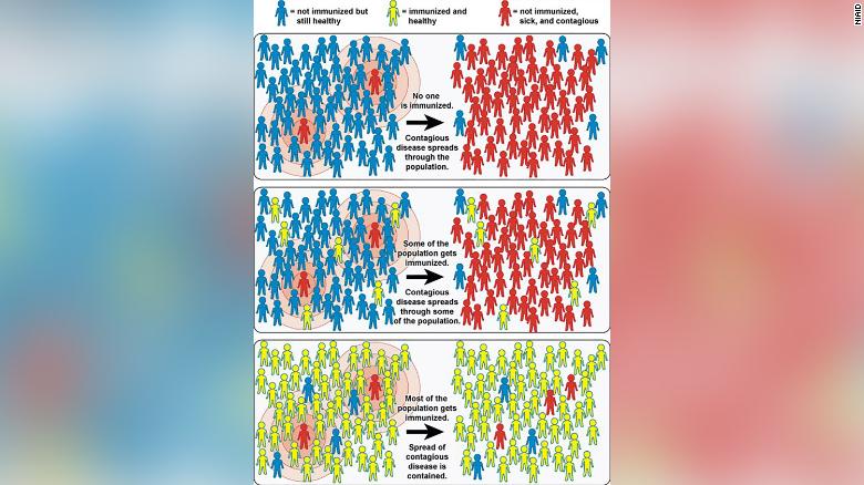 This graphic from the National Institute of Allergy and Infectious Diseases explains the concept of herd immunity. 