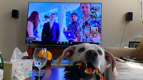 From a Zoom happy hour to a Zoom wedding: the grooms&#39; friend Yara Klimchak and her dog Ember participate from Kansas City, Missouri.