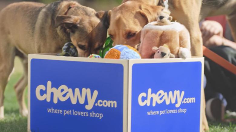 chewy dog supplies