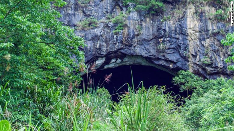 The entrance to one of the caves in a vast limestone cave system in Yunnan province, China, which Eco Health Alliance has been exploring for over 10 years.