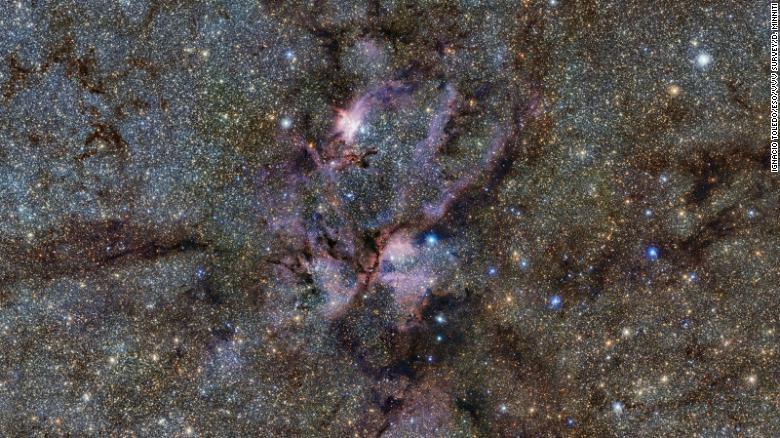The European Southern Observatory captured this image of the Lobster Nebula, where gas and dust surround young, forming stars. Stars are closer together in nebulae, meaning they can capture objects from each other.