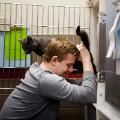 02 Coronavirus people adopting pets