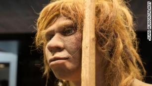 Neanderthal fathers were younger than Homo sapiens, but mothers were older, study says