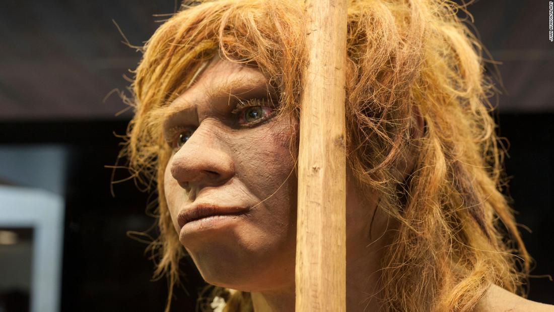 Neanderthal Fathers Were Younger Than Homo Sapiens But Mothers Were Older Study Says Cnn