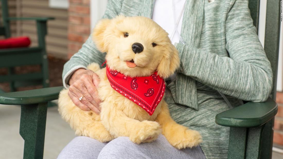 Isolated Seniors Are Getting Robotic Therapy Pets To Help Cope During ...