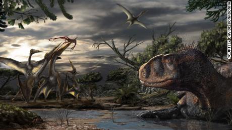 An abelisaur, a predatory dinosaur, rests while several pterosaurs fight over leftovers from a carcass. Artwork by Davide Bonadonna, under the scientific supervision of Simone Maganuco and Nizar Ibrahim.
