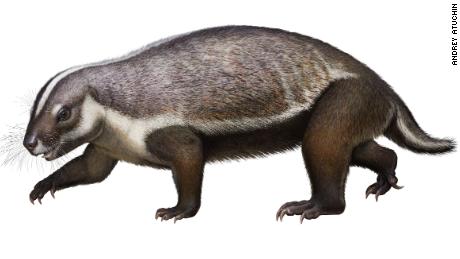 Adalatherium - Auchin reconstruction: Life-like reconstruction of Adalatherium hui, a new gondwanatherian mammal from the Late Cretaceous of Madagascar.