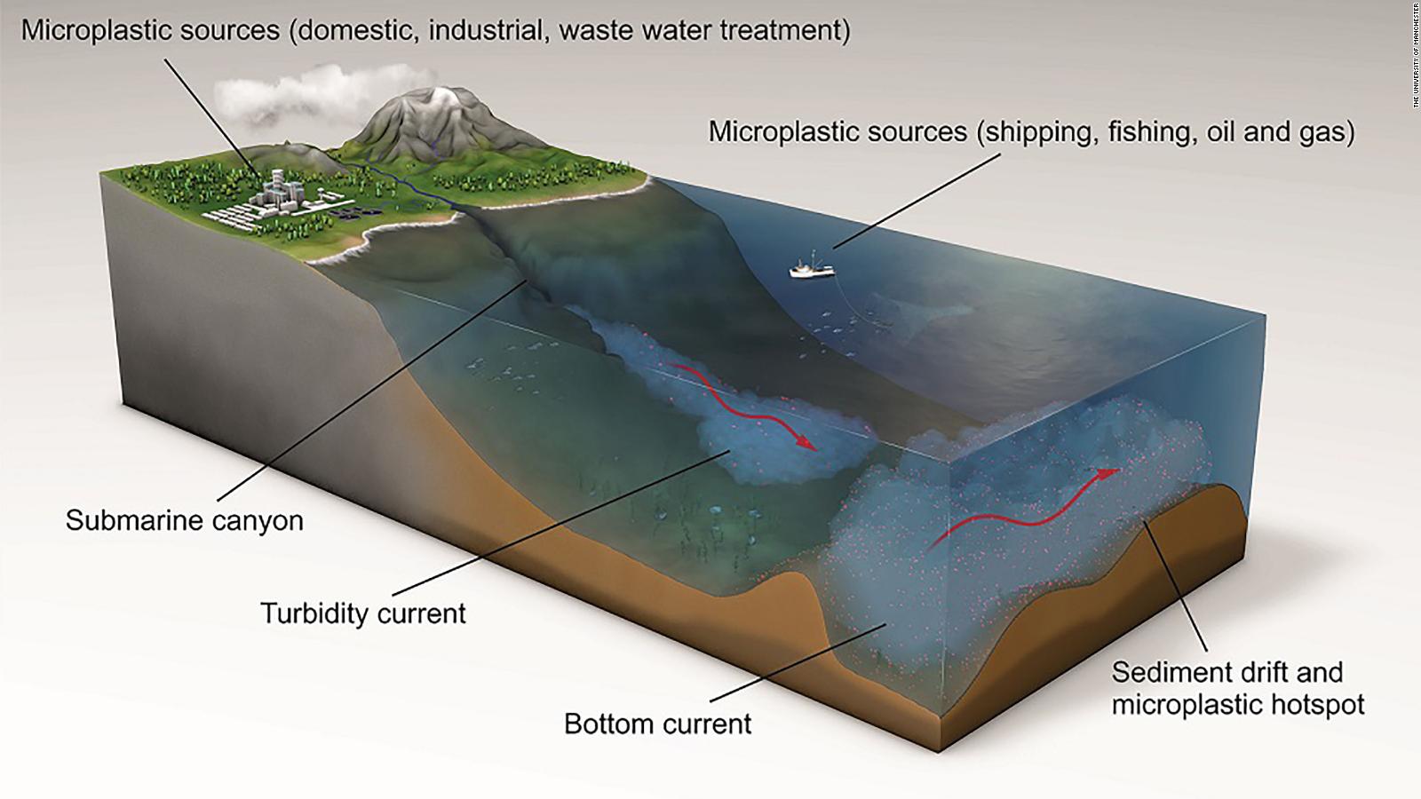 Highest ever concentration of microplastics found on sea floor - CNN