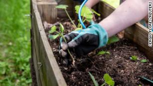 How to protect your garden from May's surprise cold snap
