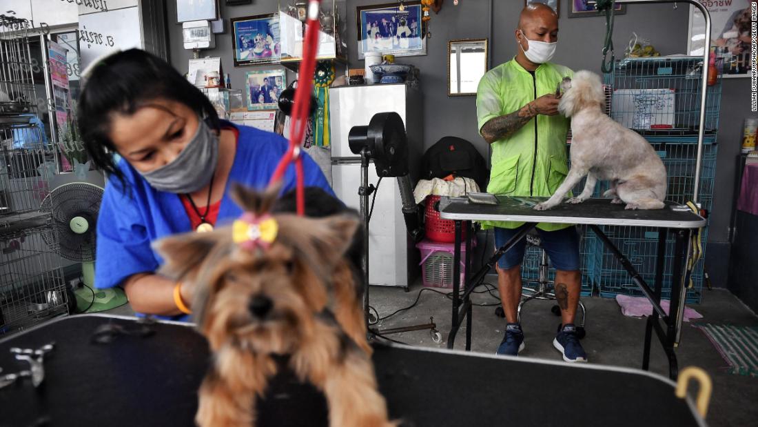 Pet groomers wear face masks as they tend to dogs in Bangkok, Thailand, on May 3. The business was reopened as the Thai government eased measures that aimed to combat the spread of Covid-19.