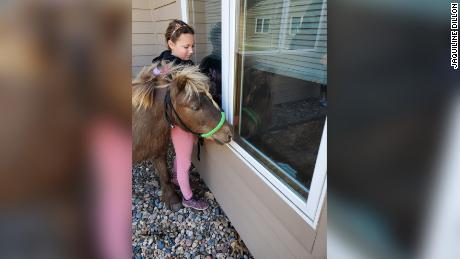 Jorja Bola leads her pony Peanut to the window at a nursing home in Beatrice, Nebraska.