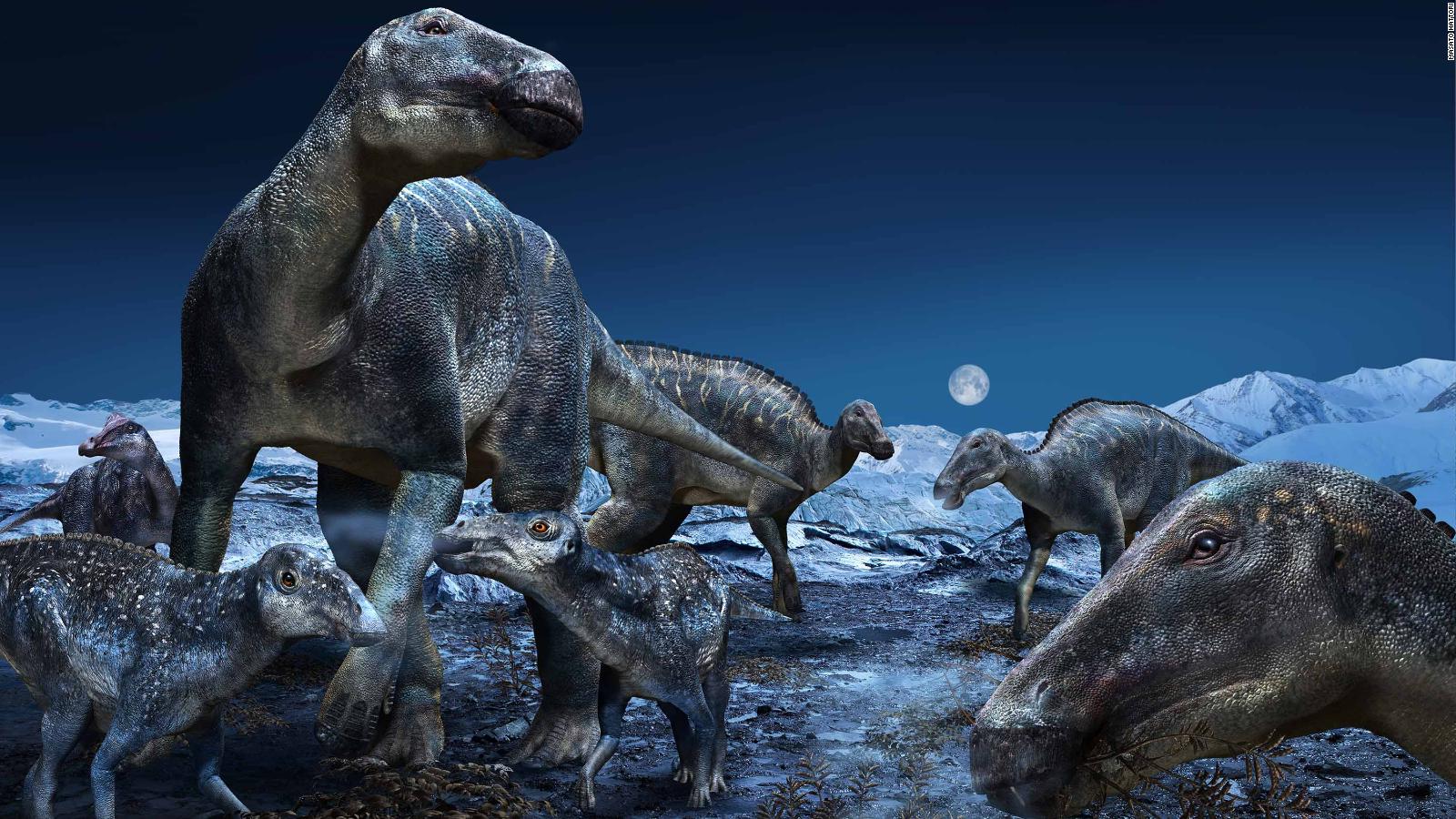 dinosaurs with fins on their back