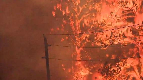 Record temperatures and dry weather have sparked more than a dozen wildfires in Florida - WTVA