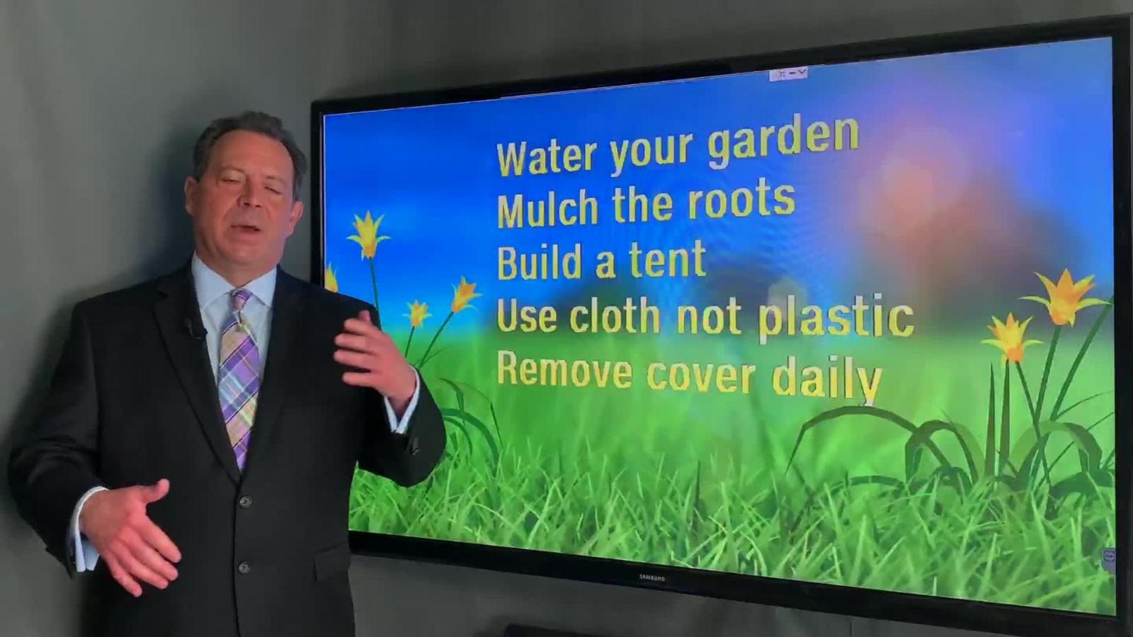 How To Protect Plants From Frost This Weekend Cnn Video