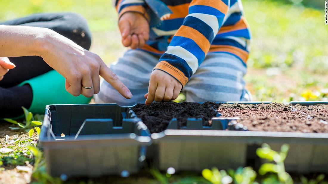 Gardening Books For 3 Year Olds