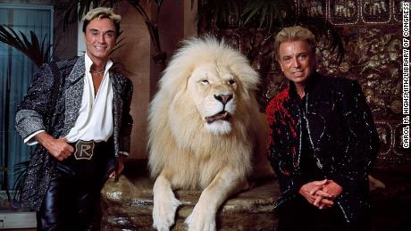 Las Vegas&#39;s headlining illusionists Siegfried &amp; Roy (Siegried Fischbacher and Roy Horn) in their private apartment at the Mirage Hotel on the Vegas Strip, along with one of their performing white lions.  This was prior to the mauling of Roy, left, by a tiger in a show on October 3, 2003.  Roy survived severe wounds, and while the pair appeared together in limited venues, their spectacular sound, light, and illusionist show was finished.