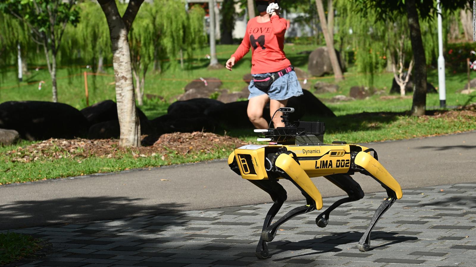 famous robot dogs