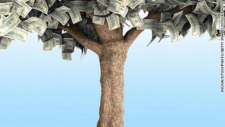 dollar tree with hundred dollar bills on blue 3d illustration