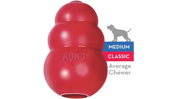 kong dog bowl