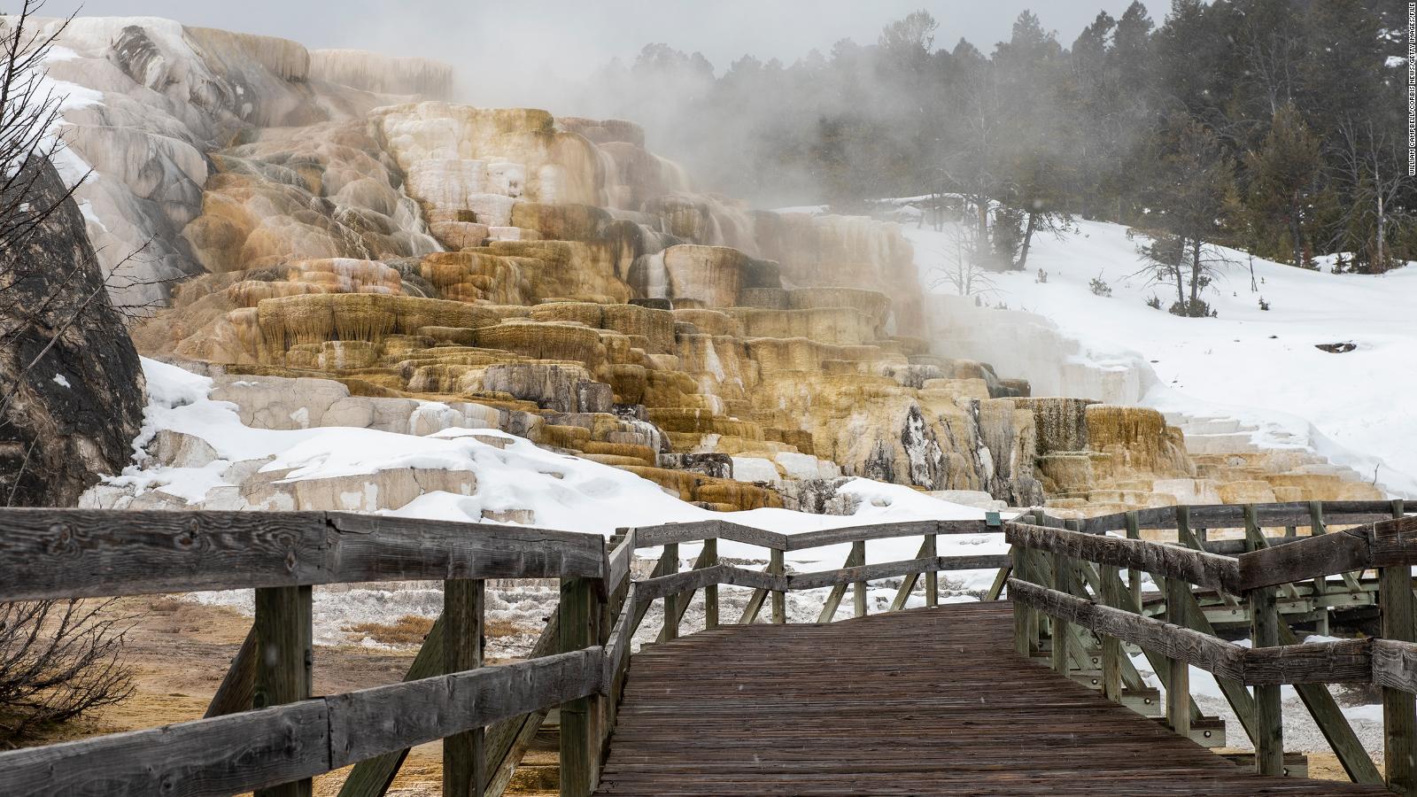 yellowstone national park shooting        
        <figure class=