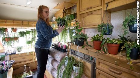 Kerri Notman has had to make space for 12,000 plants from her store so she can continue to fulfil online orders during the coronavirus pandemic.  