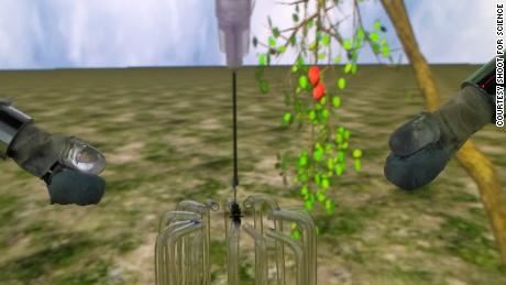 A tethered apple fly responds to airflows and odors in a virtual reality arena created by scientists based in Bangalore, India.