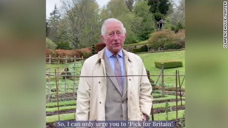 Prince Charles wants furloughed workers to pick fruit and vegetables