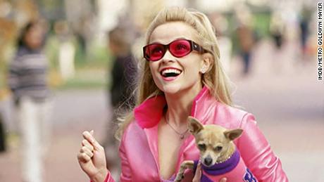 Reese Witherspoon, in character as Elle Woods, carries canine actor Moonie, a.k.a. Bruiser Woods, in a scene from &quot;Legally Blonde.&quot;