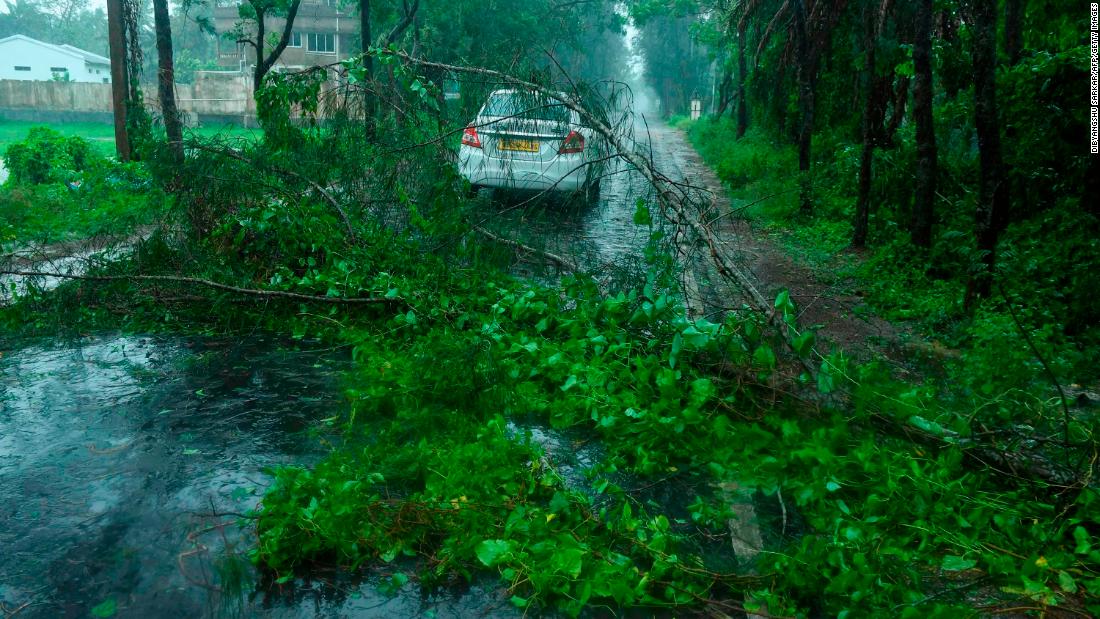 A car navigates through fallen tree branches in Digha, India.