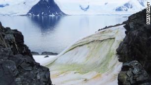 Snow is turning green in Antarctica -- and climate change will make it worse