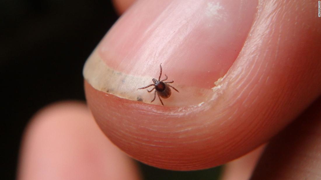 Corona with Lyme? Warmer weather means it's time to be tick aware - CNN