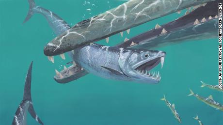 Massive saber-toothed anchovies once existed. Yes, anchovies