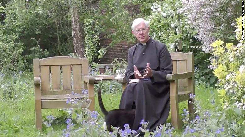 Cat Disappears Into Priest’s Robe