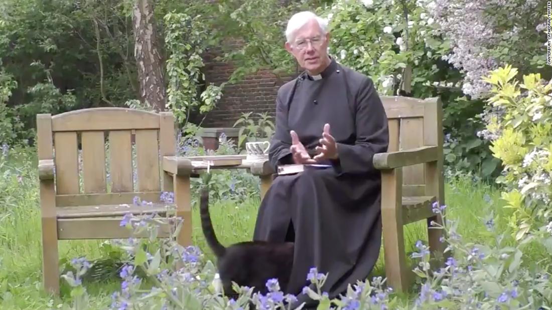 Dean of Canterbury's cat derails sermon by wandering into his robes - CNN