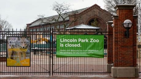 Rumors of zoo animals being set loose are false, Chicago&#39;s Lincoln Park Zoo said Monday.