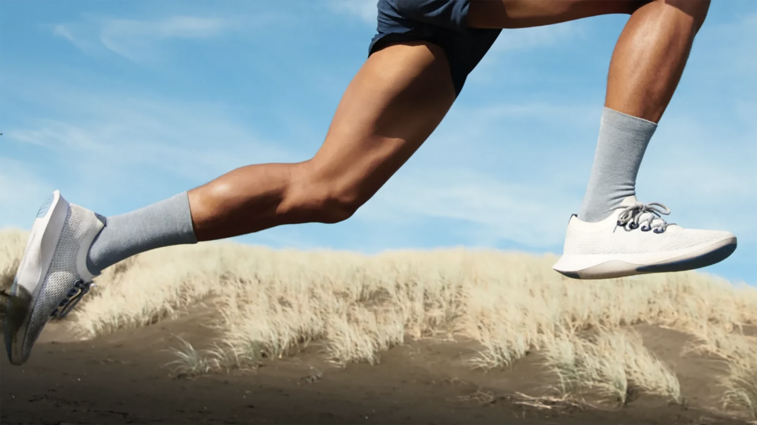 allbirds tree dasher geyser