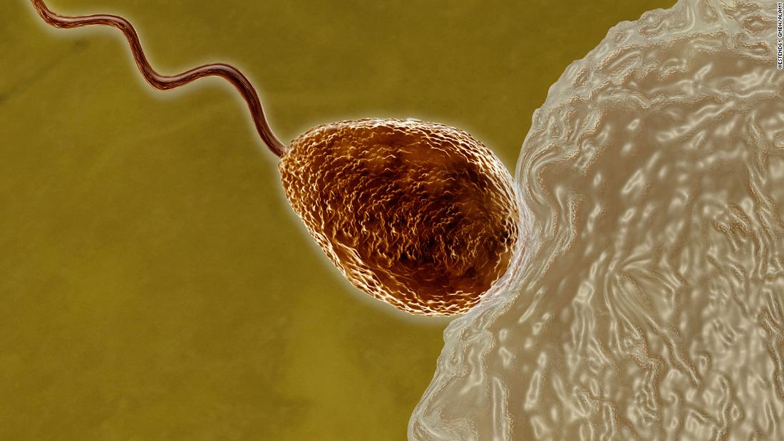 A Womans Eggs Choose Lucky Sperm During Last Moments Of Conception 